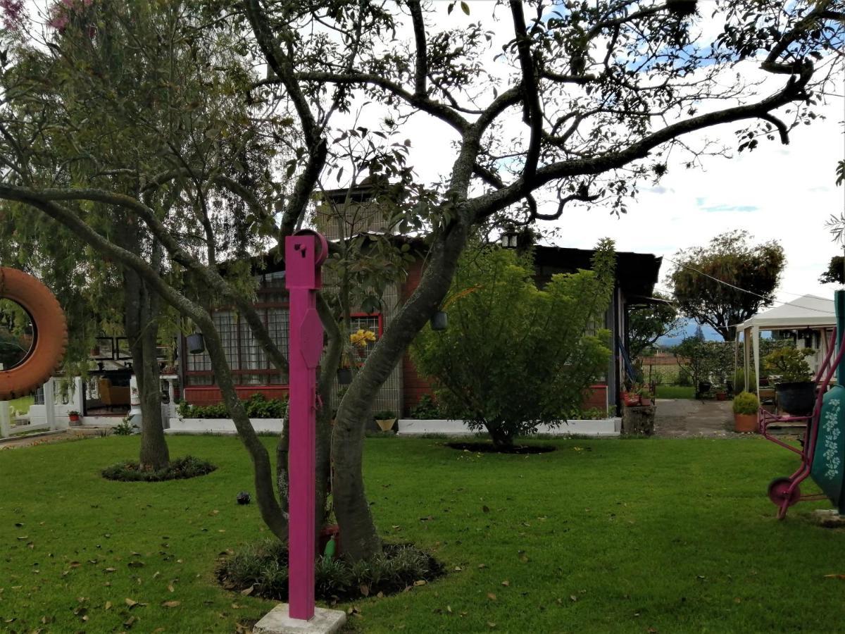 Chester'S B&B Tababela Exterior photo