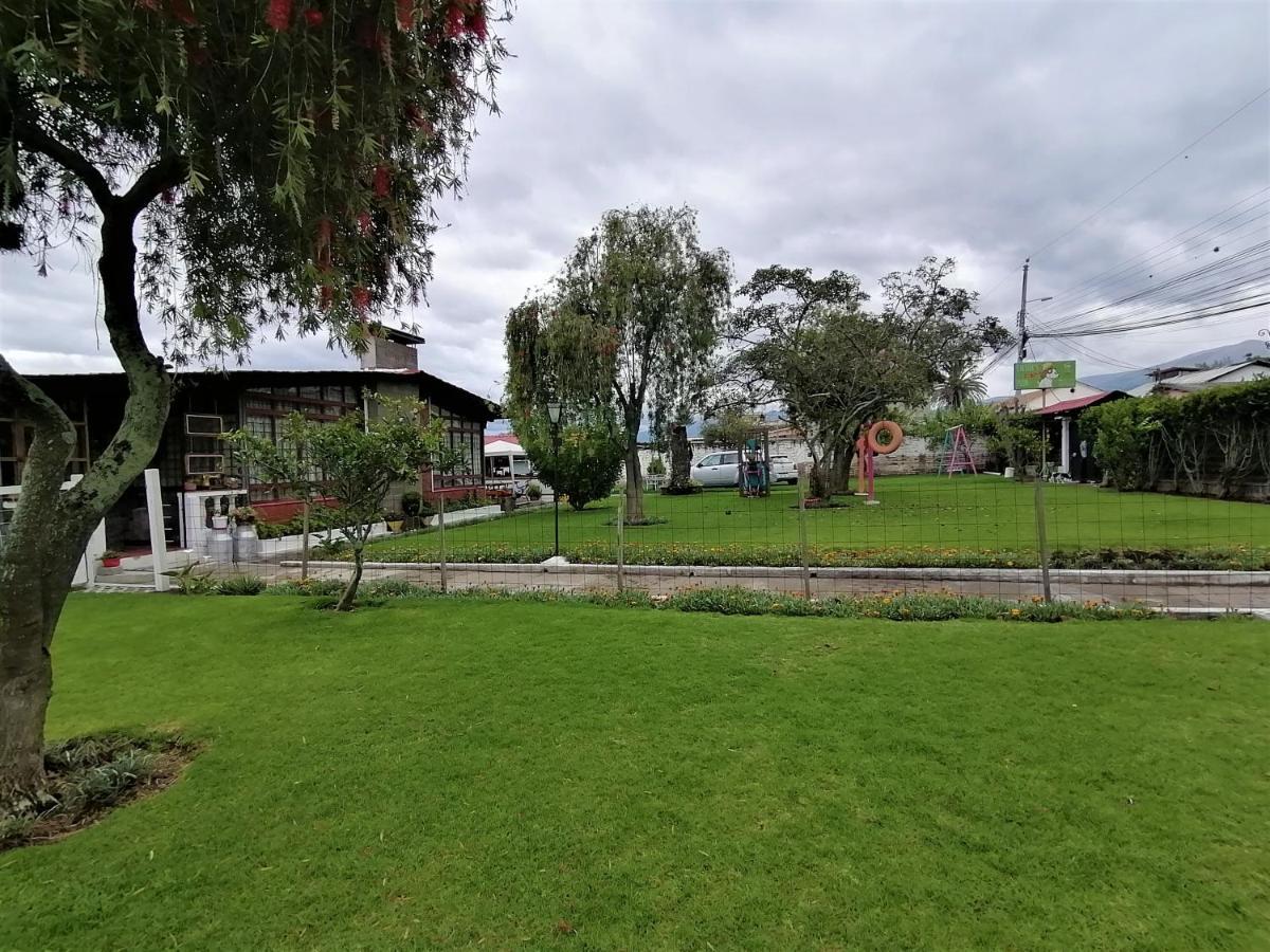 Chester'S B&B Tababela Exterior photo