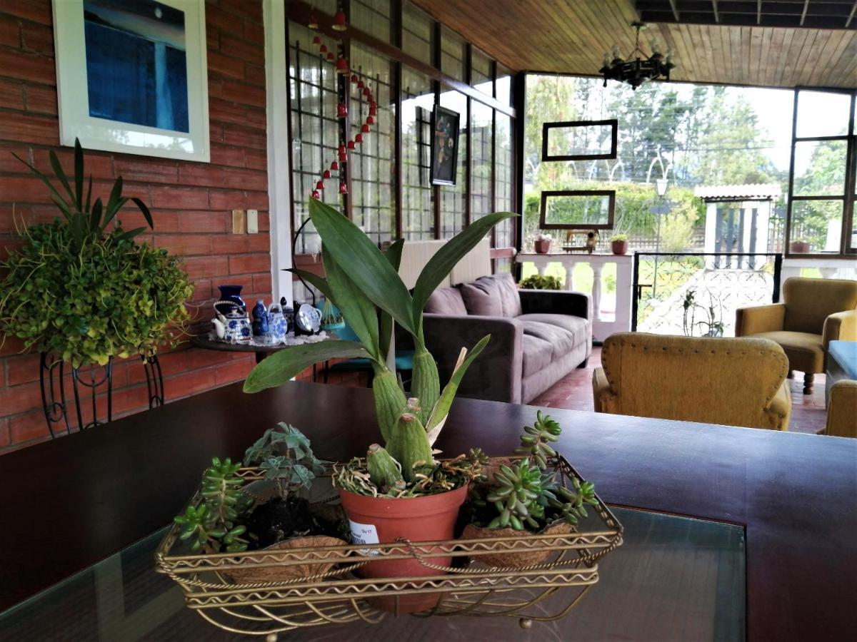 Chester'S B&B Tababela Exterior photo